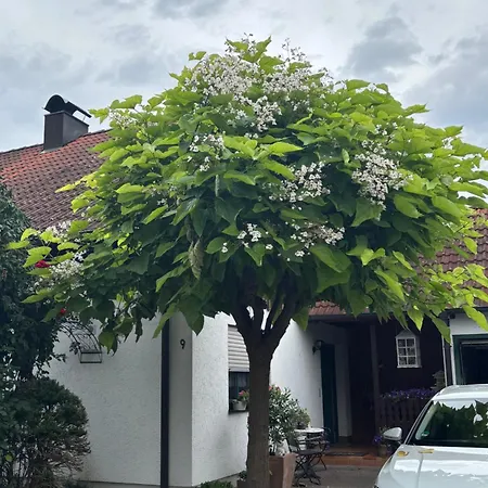 Séjour chez l'habitant Zum Wohlfuehlen