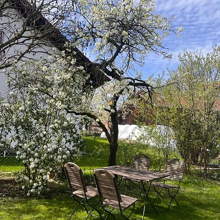 Zum Wohlfuehlen Homestay *